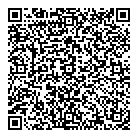 QR код "Лазер 55"