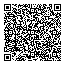 QR код "МИР"