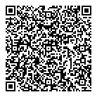 QR код "DSN"