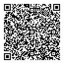 QR код "Глобус"