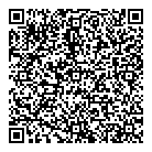 QR код "Метеор"