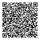 QR код "Спайдер"