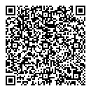 QR код "Disco"