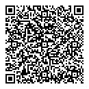QR код "Луна"