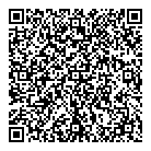 QR код "Да Винчи"