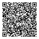 QR код "VAG сервис"