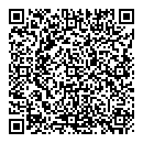 QR код "Dice"