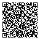 QR код "Сова"