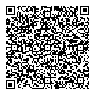 QR код "Саланг"