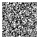QR код "Вулкан"