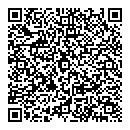 QR код "Домино"