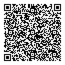 QR код "Южный Мост"