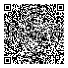 QR код "Davinci"