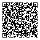 QR код "Вікінг"