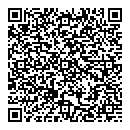 QR код "N-style"