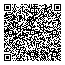 QR код "Bridge men"