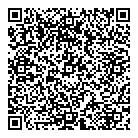 QR код "Серебряное сияние"