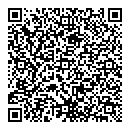 QR код "коЛИСо"