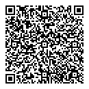 QR код "Матрица"