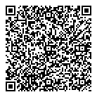 QR код "Анис"