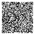 QR код "DIZARDI V.A.N.S"