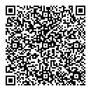 QR код "Поиск"