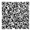 QR код "Молния"