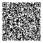 QR код "Пегас"