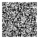 QR код "Platilkin"
