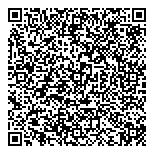QR код "Пегасус"