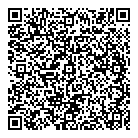 QR код "Platilkin"