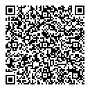 QR код "Созвездие"
