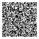 QR код "Platilkin"