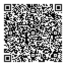 QR код "220V"