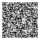 QR код "Platilkin"