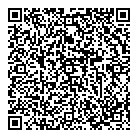 QR код "DNS"