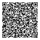 QR код "Сатурн"