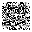 QR код "Дельфин"