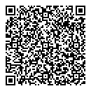 QR код "Спутник"