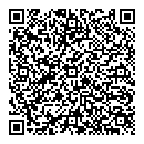 QR код "Глобус"