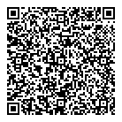 QR код "Platilkin"