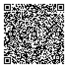 QR код "Platilkin"