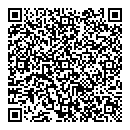 QR код "Луч"