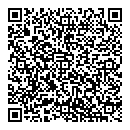 QR код "Сатурн"