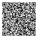 QR код "Platilkin"