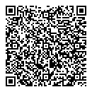 QR код "Индиго"