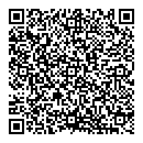 QR код "Фемида"