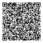 QR код "DomMoy.ru"
