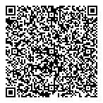 QR код "Арлекино"