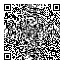QR код "Дизель"